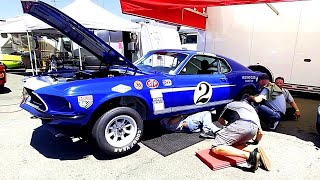 Inside the Action  Sonoma Raceway Paddock Walkaround [upl. by Yanel]