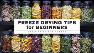 FREEZE DRYING tips for BEGINNERS plus Whats the DIFFERENCE between DEHYDRATING amp FREEZE DRYING [upl. by Suoirad548]