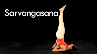 How to do Shoulder Stand Sarvangasana pose in Yoga [upl. by Walls23]