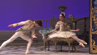 Storytime Ballet The Sleeping Beauty [upl. by Terrie626]