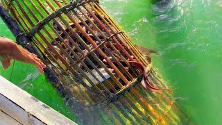 Amazing Fishing  Easy way to trap fish  Fish trap homemade [upl. by Rudwik]