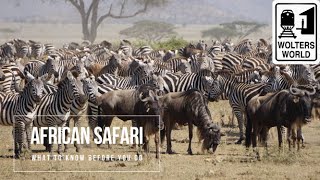 Safari Travel What to Know Before You Go on an African Safari [upl. by Beret89]