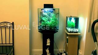 5 Modern and Stylish Aquariums [upl. by Emaj]