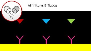 Affinity vs Efficacy  Drug action revision video agonists antagonists  GCSE A Level University [upl. by Anilah635]