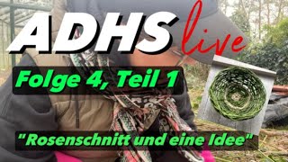 ADHS live  Folge 4 Teil 1 quotRosenschnitt und eine Ideequot Wie mich die beste Idee ever ablenkt [upl. by Landy]