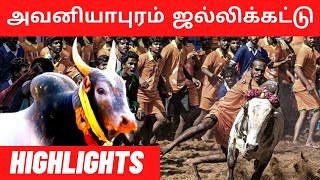 Highlights Of Avaniyapuram Jallikattu 2023  அவனியாபுரம் ஜல்லிக்கட்டு  Vikatan [upl. by Nereids938]