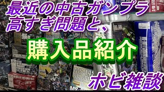 ガンプラ新作再販どころか中古すら高くて買えません。中古の価格が高騰しすぎ？ [upl. by Eioj]