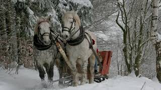 Stefan Hrusca  Colaj colinde  Christmas Music  Cantece de craciun [upl. by Malan]