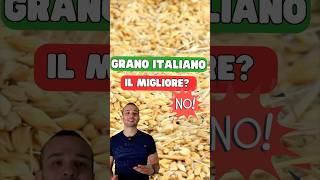 Grano italiano NON è il migliore pizza grano farina [upl. by Eisso]