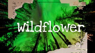 Wildflower by Arnel PinedaLyrics from Wildflower Ost [upl. by Borg]