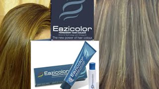 Hair colour amp Highlights  With EaziColor Professional Hair dye Review  Not sponsore [upl. by Notloc485]