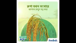 ভরবে গোলা রূপা চাষে স্মার্ট কৃষির বাংলাদেশে [upl. by Rubia533]