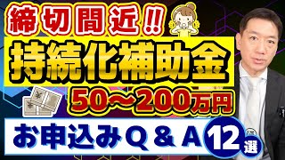 【まもなく締切：高採択率 50200万円 持続化補助金】補助金で販路開拓 試供品・陳列棚は対象？HP買物カゴ追加は？ 他補助金との併用は？ 採択計画例 など〈24年3月時点〉 [upl. by Janice]