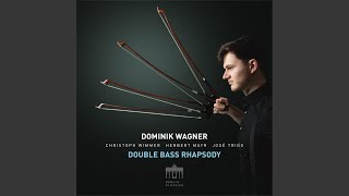 Cello Suite No 1 in G Major BWV 1007 II Allemande Transcr For Double Bass by Dominik Wagner [upl. by Rube]