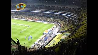 América 30 Tigres  Final Apertura 2023  Dale dale dale dale Ame [upl. by Burkhard983]