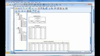 Calculating and Interpreting Cronbachs Alpha Using SPSS [upl. by Itsrik]