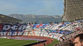 Koreografija Torcide povodom proslave 74 rodjendana  Hajduk  Lokomotiva  26102024 [upl. by Ybrek]