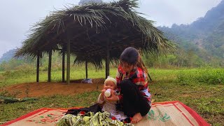 Lý An Ca  16 and a MotherSister Harvesting Palm Cores and Leaves to Build a Home [upl. by Nahtnanhoj]