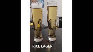 Brewing a Commerical Rice Lager Recipe with 40 Rice and Tasting it Next to the Original [upl. by Jehovah]