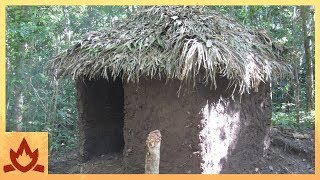 Primitive Technology Palm Thatched Mud Hut [upl. by Merilyn]