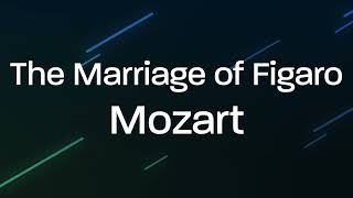 The Marriage of Figaro A Mozart Masterpiece with Intrigue Love and Timeless Melodies [upl. by Enilrahc]