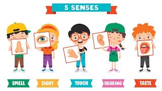 Educational Poem For Kids Focusing On The Five Senses  Nursery rhymes amp Baby Songs [upl. by Ylrahc]