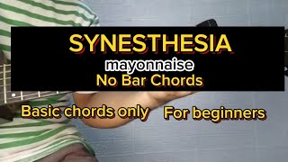 SYNESTHESIA by mayonnaise basic chords only [upl. by Cello]