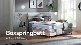 Boxspringbett Aufbau und Erklärung  XXXLutz Boxspringbetten Beratung [upl. by Allene17]