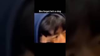 Bro forgot hes a dog🤣🤣 funmoments memes viral shorts [upl. by Redla]