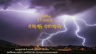 9 ශ්‍රේණිය විද්‍යාව  17 පාඩම අකුණු අනතුරු [upl. by Otxis]