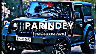 Parindey  SlowedReverb Song  Trending amp Hindi Song trending 🎶 hindi song [upl. by Nolie]