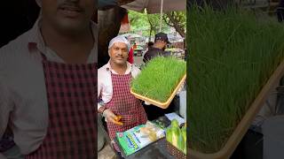 Morning Wheat Grass Juice for a Healthy Start in Hyderabad shorts [upl. by Nahtaoj]