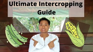 Ultimate Intercropping Guide Gabay sa pag tabitabi ng mga tanim [upl. by Rozalie]