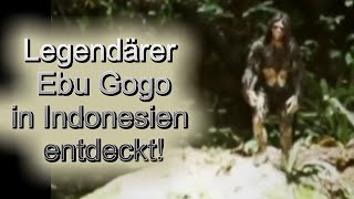 Legendärer Ebu Gogo in Indonesien entdeckt [upl. by Uok]