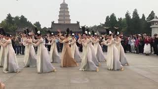 Tang Dynasty an ancient Chinese court dance [upl. by Tloc]