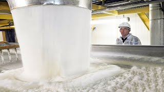 How Sugar is Made [upl. by Cross]