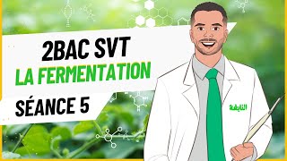 Séance 5  La Fermentation Lactique et alcoolique 2Bac SVT [upl. by Debor]