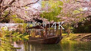 春に行きたい京都の絶景20選  JAPAN in 4K [upl. by Hurff678]