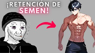 Las 6 ETAPAS De La Retención De Semen  DEBES VERLO  Retención De Semen  NOFAP [upl. by Atiugal615]