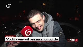 Vodiča vyrušil pes na snouborde NOVINY TV JOJ [upl. by Voltmer]