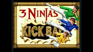 3 Ninjas Kick Back Sega Genesis [upl. by Nwaf]