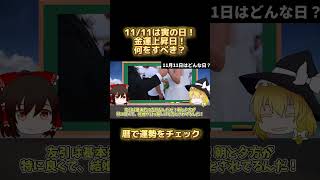 【11月11日】暦から運勢をチェック！スピリチュアルな開運アクションもご紹介！最強運の星座ランキング、タロット占いで運勢を占う！●●で更に運勢UP！ shorts [upl. by Gnal305]