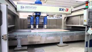 DONATONI  SX3  cutting line [upl. by Gere]