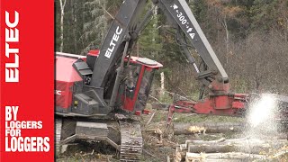 Eltec Feller Buncher 317 [upl. by Sharyl]