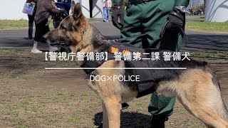 【警視庁警備部】警備第二課 警備犬 [upl. by Karsten]