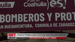 Alerta Protección Civil de San Buenaventura sobre presencia de abejas y avispas [upl. by Gem433]