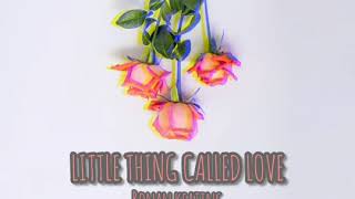 Ronan Keating  Little Thing Called Love Lyrics [upl. by Nlycaj174]