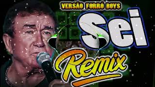 SEI AMADO BATISTA REMIX FORRO [upl. by Anavas]