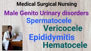 Medical Surgical Nursing Spermatocele vericocele Epididymitis HematoceleMale Genito Urinary dr [upl. by Orrin]