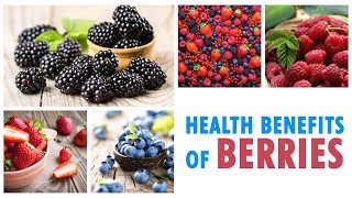 Health benefits of berries [upl. by Ignazio578]